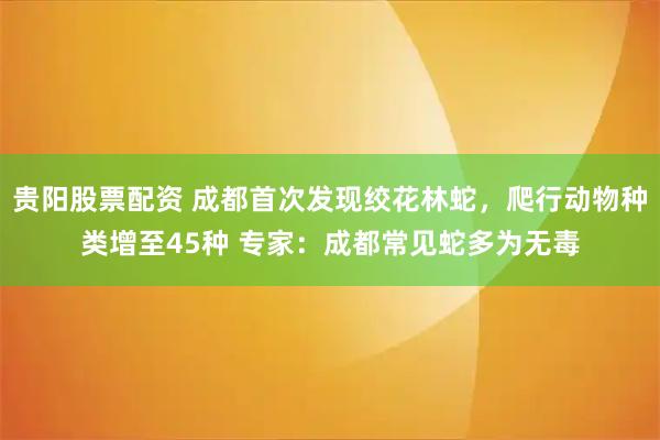贵阳股票配资 成都首次发现绞花林蛇，爬行动物种类增至45种 专家：成都常见蛇多为无毒