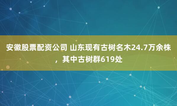 安徽股票配资公司 山东现有古树名木24.7万余株，其中古树群619处