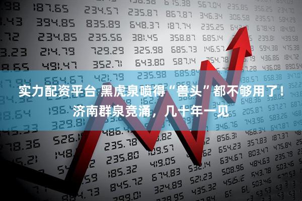 实力配资平台 黑虎泉喷得“兽头”都不够用了！济南群泉竞涌，几十年一见