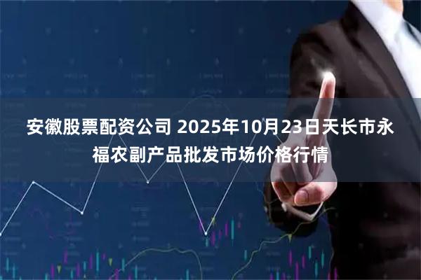 安徽股票配资公司 2025年10月23日天长市永福农副产品批发市场价格行情