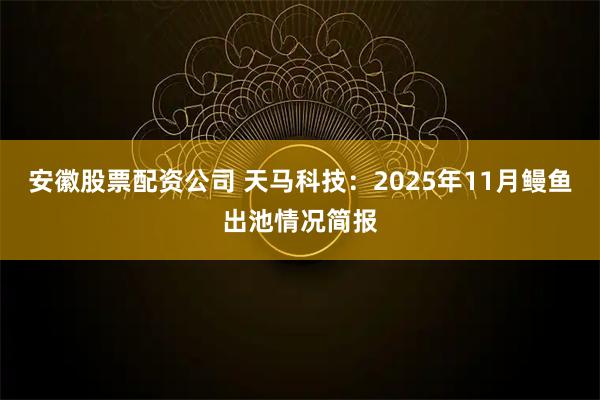 安徽股票配资公司 天马科技：2025年11月鳗鱼出池情况简报